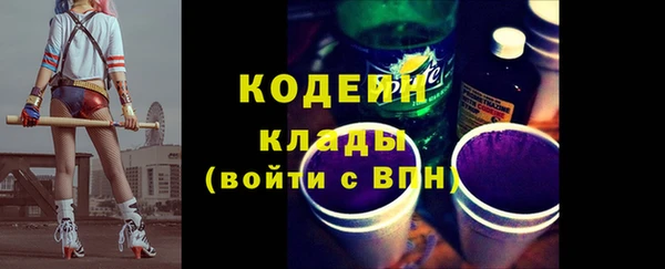apvp Каменногорск