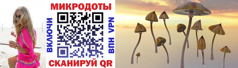 Купить закладки  Донецк  Псилоцибиновые грибы Magic Shrooms 
